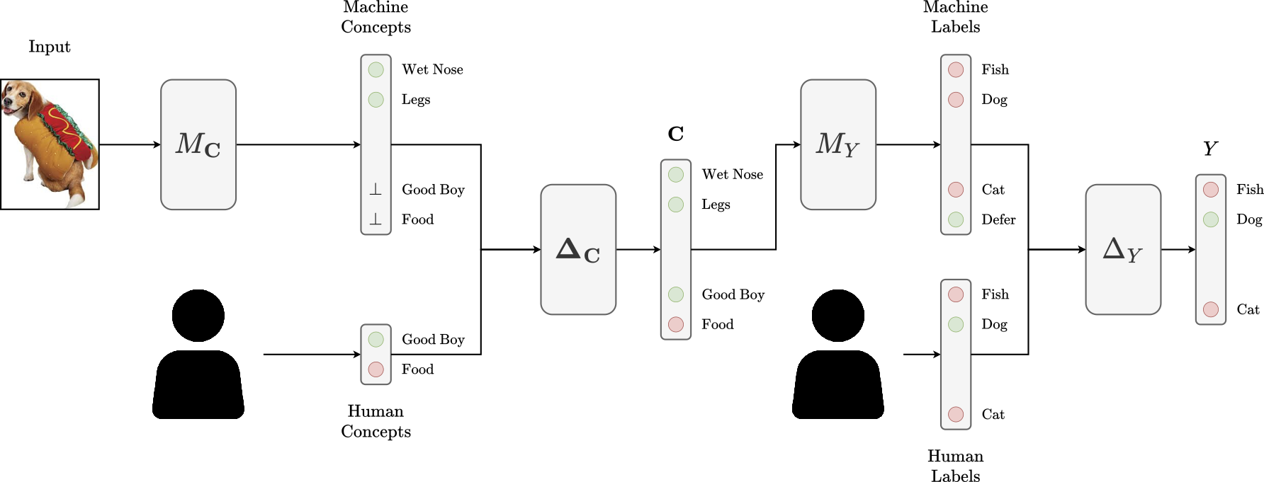 DCBM architecture